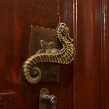 Ampelaki Blue * 帕莱欧卡斯提撒